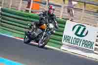 Vintage-motorcycle-club;eventdigitalimages;mallory-park;mallory-park-trackday-photographs;no-limits-trackdays;peter-wileman-photography;trackday-digital-images;trackday-photos;vmcc-festival-1000-bikes-photographs